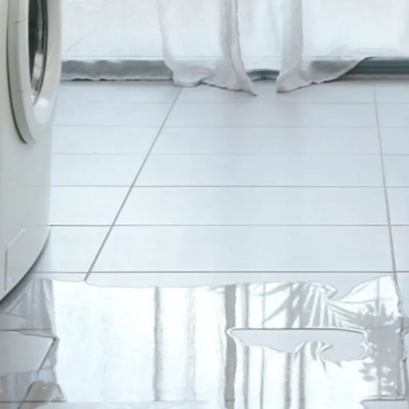 Appliance Leak Cleanup in Breaux Bridge, LA
