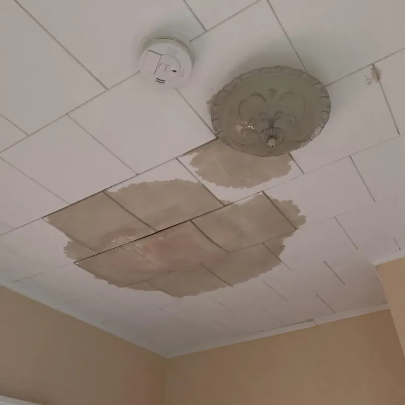 Ceiling Water Damage Repair in Breaux Bridge, LA
